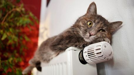 На Львівщині під час війни перестали будувати нові ЖК з центральним опаленням