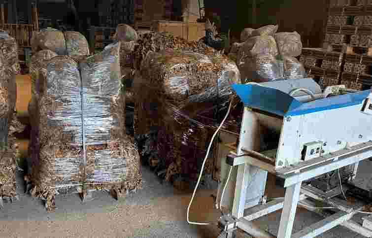 Фермер з Буковини вирощував тонни тютюну для підпільної фабрики на Полтавщині