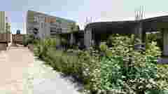 У спальному районі Ужгорода хочуть звести багатоповерхівку і спортивний зал