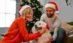 Квартира під ялинку: компанія «Інтергал-Буд» оголосила про зимові знижки