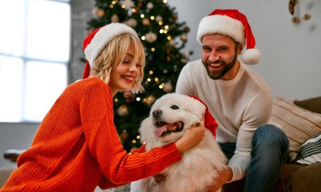 Квартира під ялинку: компанія «Інтергал-Буд» оголосила про зимові знижки