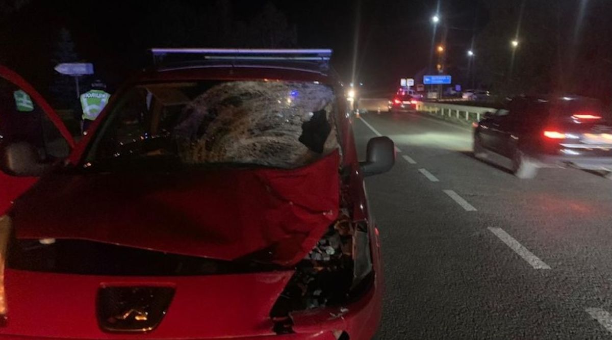 Мешканець Львівщини на смерть збив 22-річну жінку на переході та уник тюрми