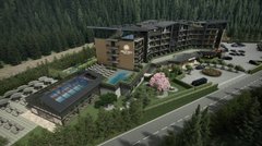 Як створюють новий курортний кластер у Карпатах: історія мережі Green Rest