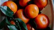 Чи потрібно мити мандарини перед вживанням: відповідь вас здивує 