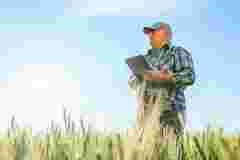 Добрива без затримок: як Open Agri Club допомагає фермерам у сезонних закупівлях