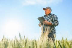 Добрива без затримок: як Open Agri Club допомагає фермерам у сезонних закупівлях