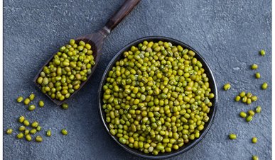 Аграрії зібрали перший врожай нової для України культури