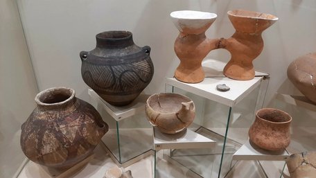 Від мамонта до мечів і прикрас: історія цивілізації у музеї Львівського університету