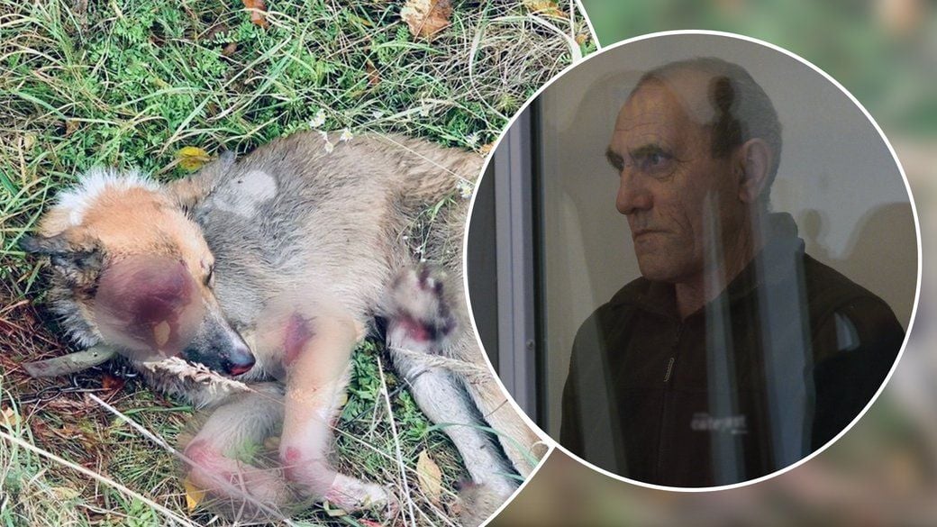 Під час судового засідання Василь Клюса визнав свою вину. Колаж «Суспільного»