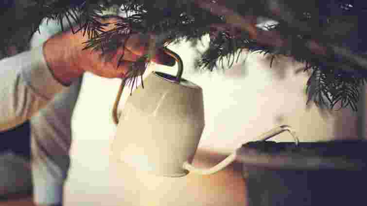 Ялинка не простоїть довго: три інгредієнти, які не можна додавати у воду