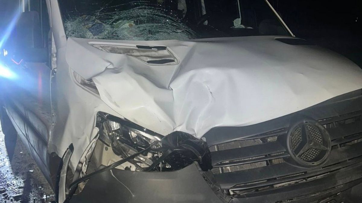 На Буковині водія мікроавтобуса засудили до 9 років в'язниці за смерть двох пішоходів