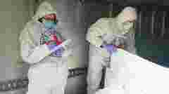 В Україну повернули 1003 тіла, які належать українським військовим