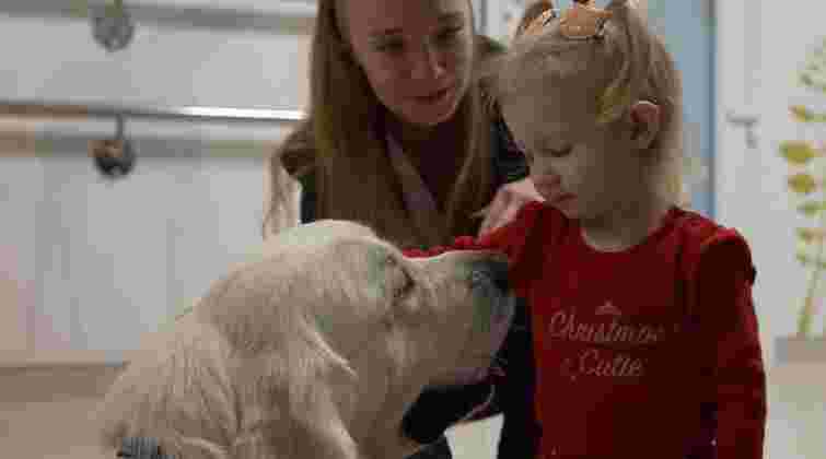 У Львові пес-терапевт допомагає маленьким пацієнтам відновлюватися після травм