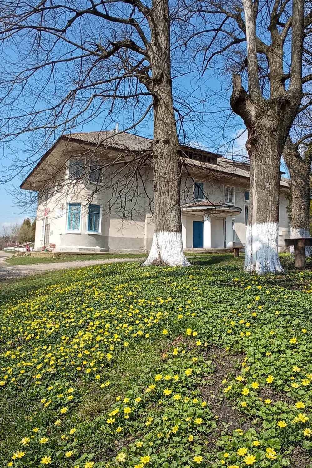 Парадний вхід із залишками колон