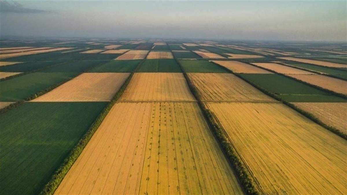 Власник паю чи орендар: хто має платити податки з орендної плати за землю