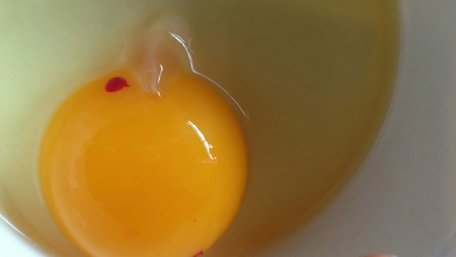 Безпечно їсти чи ні: чому на жовтку бувають червоні цятки