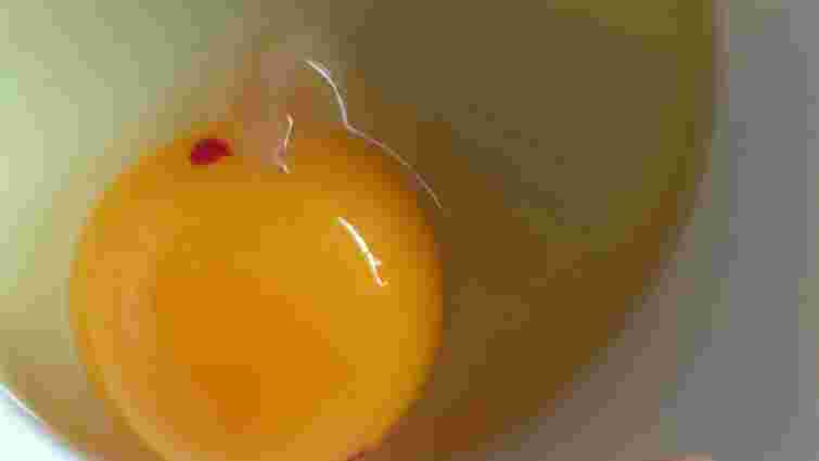 Безпечно їсти чи ні: чому на жовтку бувають червоні цятки