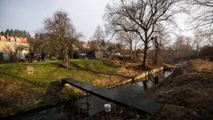 У Польщі звинуватили 12-річну українку у вбивстві 11-річної школярки, МВС країни заперечило