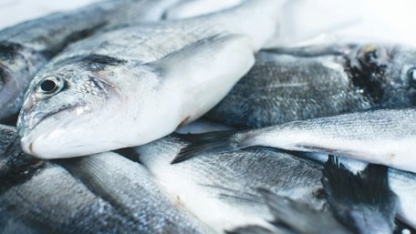 Як швидко розморозити рибу: дієвий лайфхак із сіллю