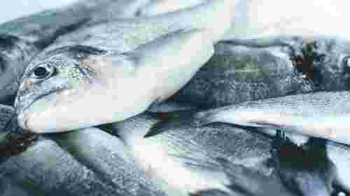 Як швидко розморозити рибу: дієвий лайфхак із сіллю