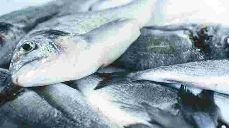Як швидко розморозити рибу: дієвий лайфхак із сіллю