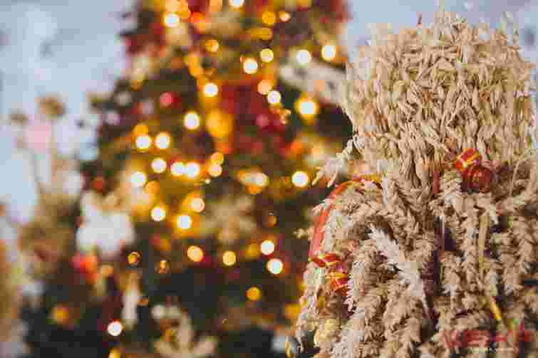 Символ Святвечора своїми руками: покрокова інструкція з виготовлення дідуха