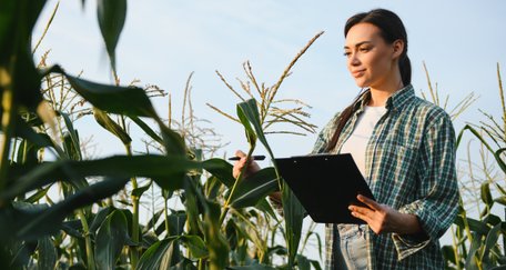 Від аналізу ґрунту до врожаю: як працює агрономічний супровід Open Agri Club
