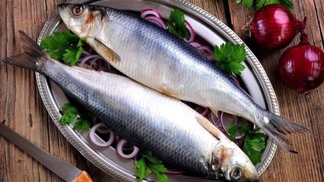 Три ознаки ідеальної риби: як вибрати оселедець для салату