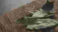 Ефект вражає: навіщо потрібно заморожувати лавровий лист