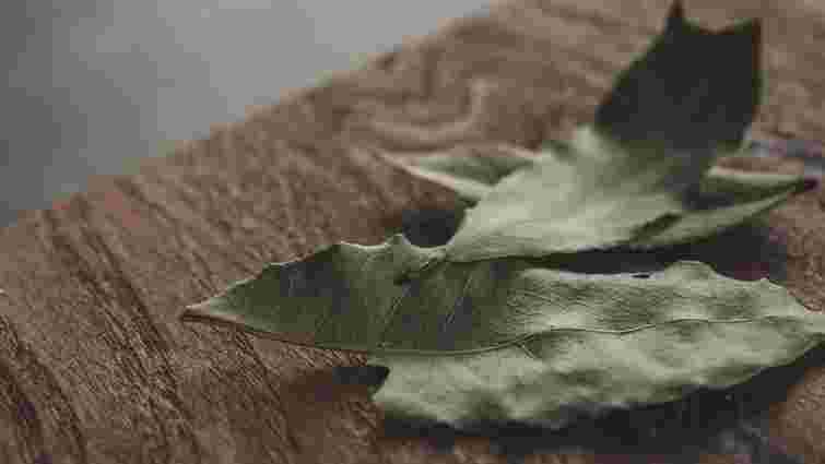 Ефект вражає: навіщо потрібно заморожувати лавровий лист