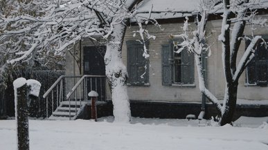 Чому не варто посипати сіллю чи піском доріжки: безпечний спосіб боротьби з льодом