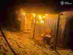 На Буковині у масштабній пожежі на птахофермі загинули 5 тис. курей