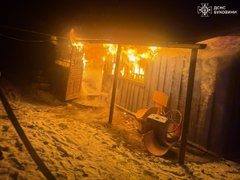 На Буковині у масштабній пожежі на птахофермі загинули 5 тис. курей