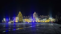 Замки Львівщини, які варто відвідати на зимових канікулах