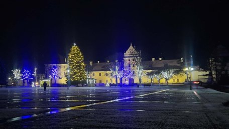 Замки Львівщини, які варто відвідати на зимові канікули