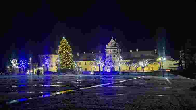 Замки Львівщини, які варто відвідати на зимових канікулах