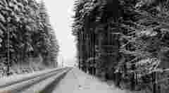 Через хуртовини синоптики оголосили у Львові та області штормове попередження