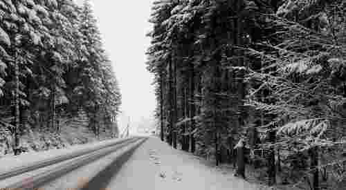 Через хуртовини синоптики оголосили у Львові та області штормове попередження