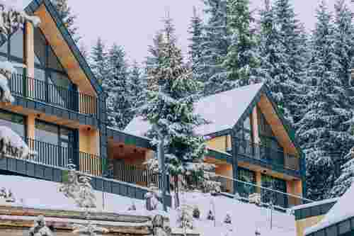 Унікальна екосистема у серці Карпат: як Skogur Нome&Resort став місцем сили