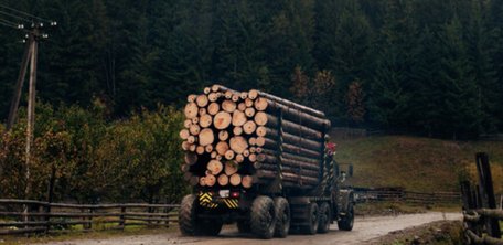 Кабмін продовжив обмеження експорту лісу та металобрухту до кінця 2026 року