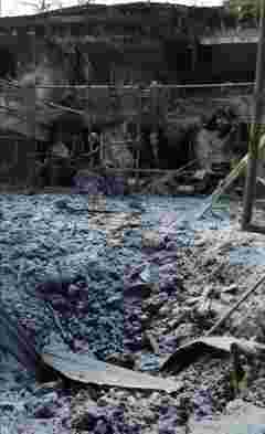 На Харківщині внаслідок російського удару загинули тварини екопарку Фельдмана