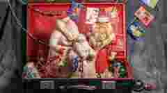 Вся правда про Новий рік і діда Мороза