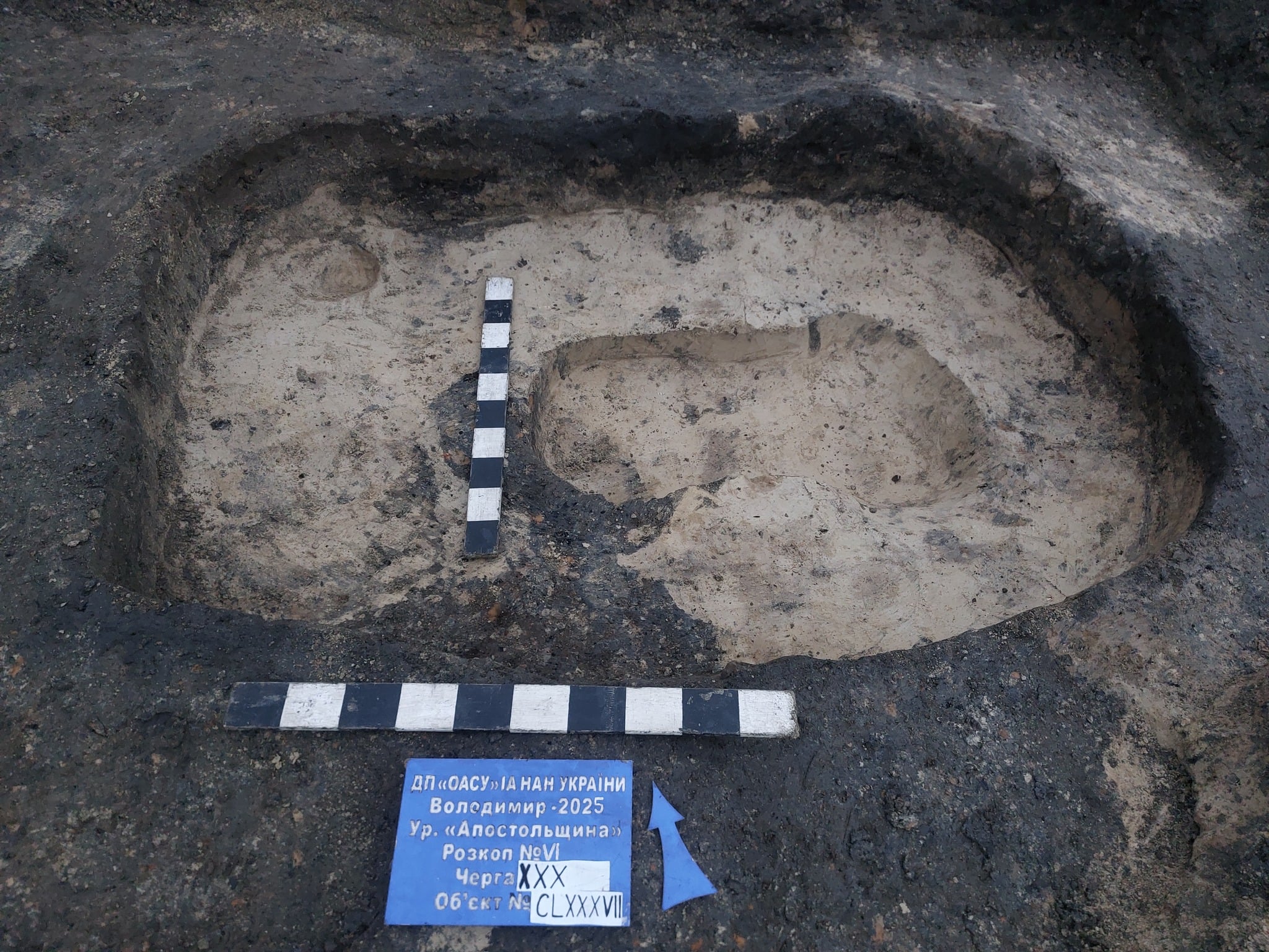 Скарб зберігався майже 800 років під підлогою спаленої споруди XII ст.