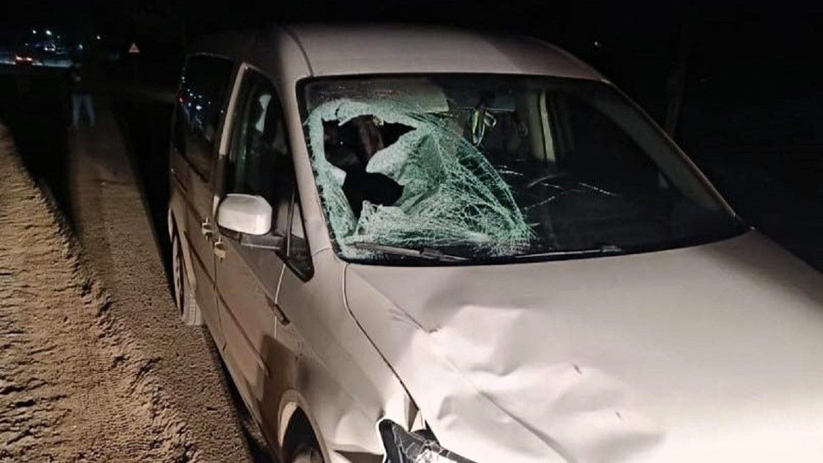 На Прикарпатті водійка Volkswagen на смерть збила пішохода