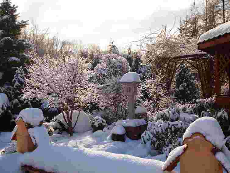 Мороз не перешкода: 7 справ у саду, які полегшать старт сезону навесні