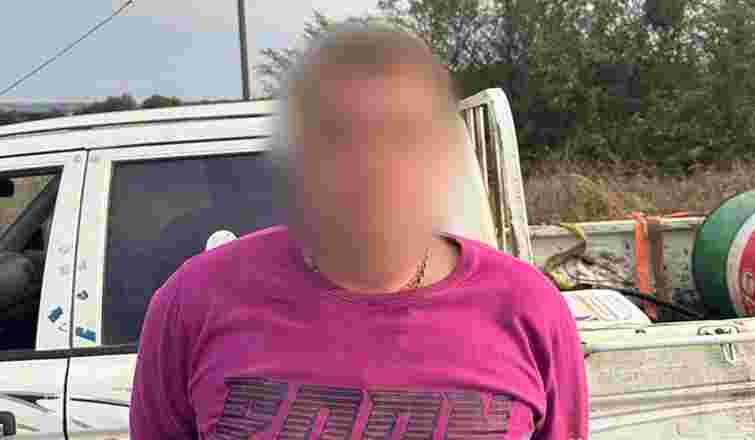 П'яний водій без прав отримав 5,5 років тюрми за смертельний наїзд на жінку