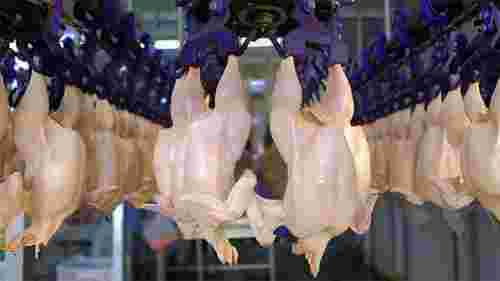 МХП за 5 млн доларів придбає цех забою та переробки птиці на Львівщині
