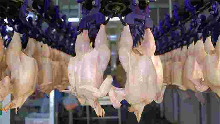 МХП за 5 млн доларів придбає цех забою та переробки птиці на Львівщині