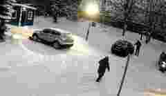 Львівська поліція розшукала водія, який збив собаку і втік
