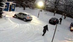 Львівська поліція розшукала водія, який збив собаку і втік
